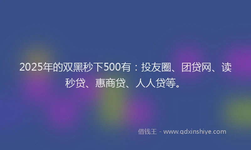 2025年的双黑秒下500有：投友圈、团贷网、读秒贷、惠商贷、人人贷等。
