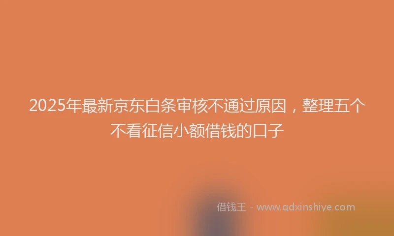 2025年最新京东白条审核不通过原因，整理五个不看征信小额借钱的口子