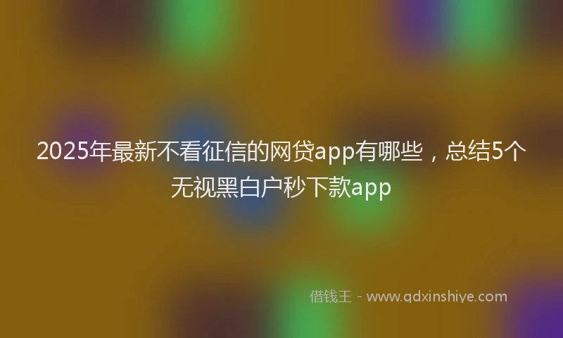 2025年最新不看征信的网贷app有哪些，总结5个无视黑白户秒下款app