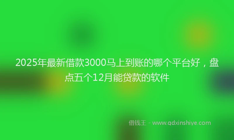 2025年最新借款3000马上到账的哪个平台好，盘点五个12月能贷款的软件