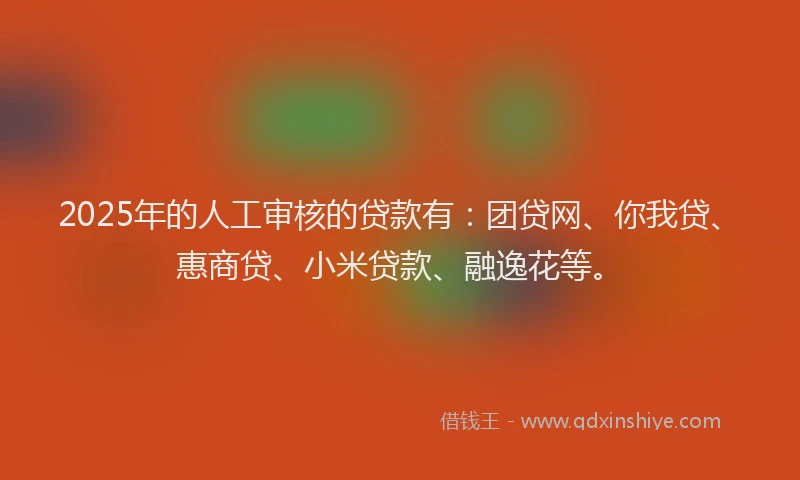 2025年的人工审核的贷款有：团贷网、你我贷、惠商贷、小米贷款、融逸花等。