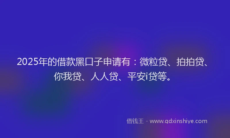 2025年的借款黑口子申请有：微粒贷、拍拍贷、你我贷、人人贷、平安i贷等。