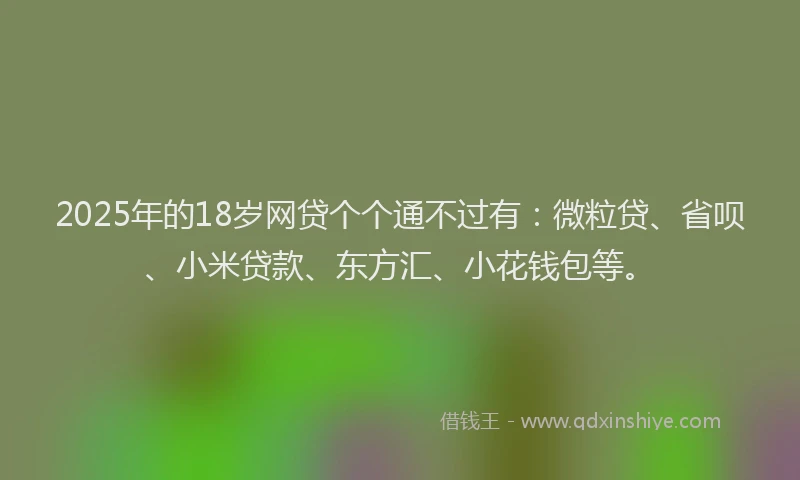 2025年的18岁网贷个个通不过有：微粒贷、省呗、小米贷款、东方汇、小花钱包等。