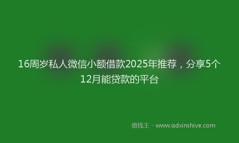 16周岁私人微信小额借款2025年推荐，分享5个12月能贷款的平台