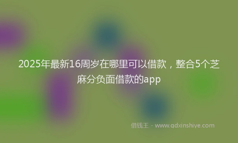 2025年最新16周岁在哪里可以借款，整合5个芝麻分负面借款的app