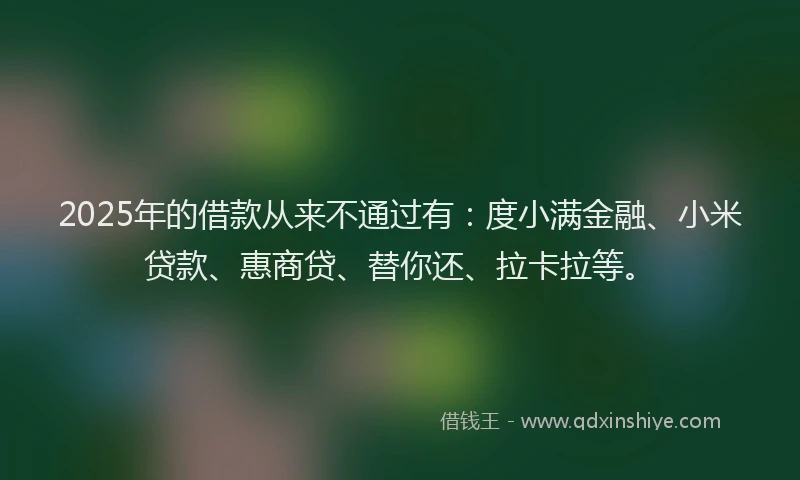 2025年的借款从来不通过有：度小满金融、小米贷款、惠商贷、替你还、拉卡拉等。