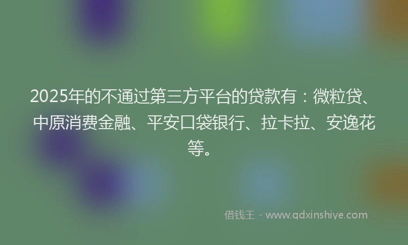 2025年的不通过第三方平台的贷款有：微粒贷、中原消费金融、平安口袋银行、拉卡拉、安逸花等。