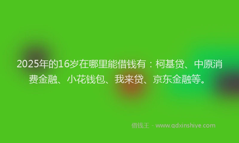 2025年的16岁在哪里能借钱有：柯基贷、中原消费金融、小花钱包、我来贷、京东金融等。