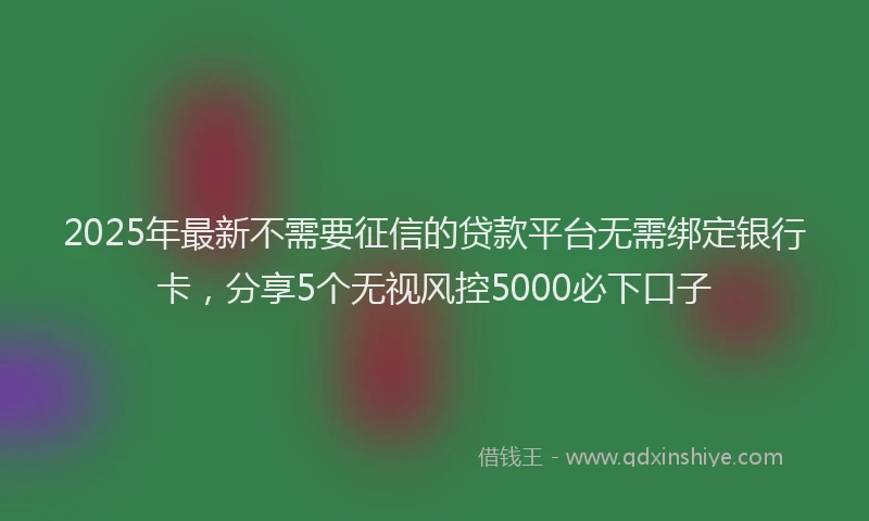2025年最新不需要征信的贷款平台无需绑定银行卡，分享5个无视风控5000必下口子