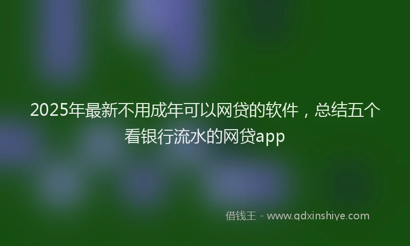 2025年最新不用成年可以网贷的软件，总结五个看银行流水的网贷app