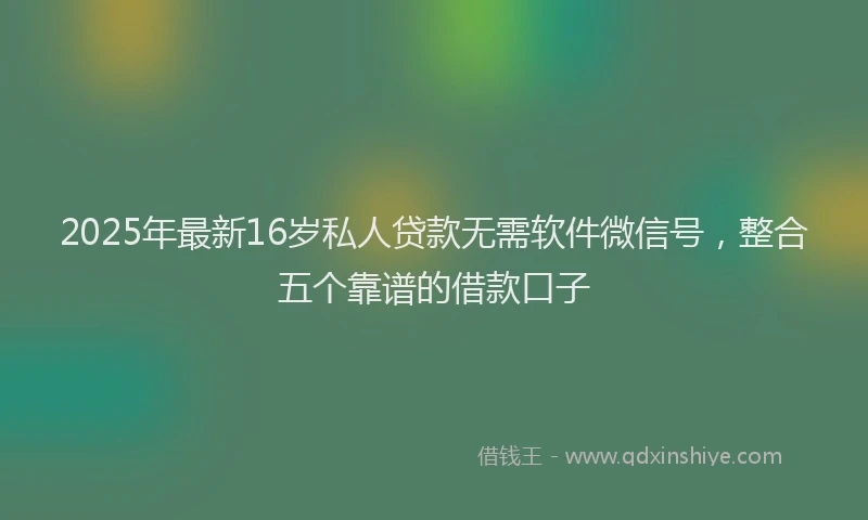 2025年最新16岁私人贷款无需软件微信号，整合五个靠谱的借款口子
