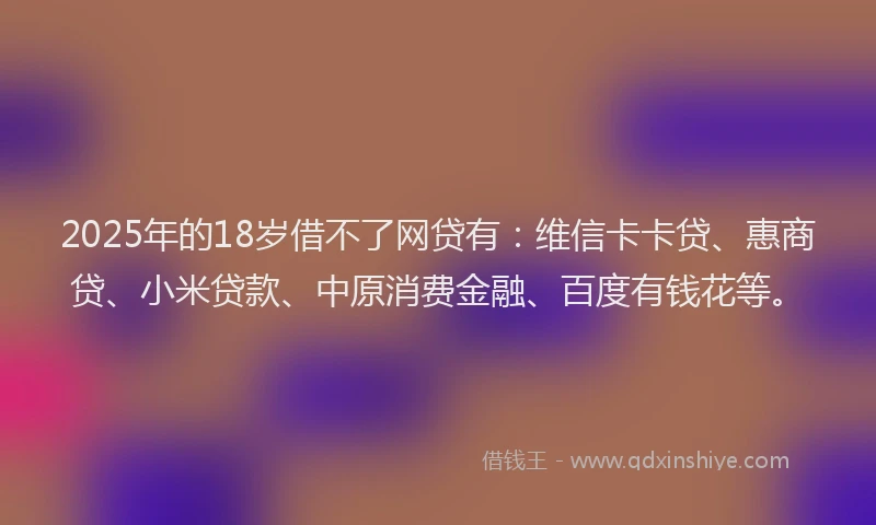 2025年的18岁借不了网贷有：维信卡卡贷、惠商贷、小米贷款、中原消费金融、百度有钱花等。