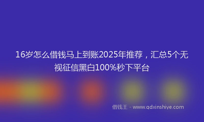 16岁怎么借钱马上到账2025年推荐，汇总5个无视征信黑白100%秒下平台