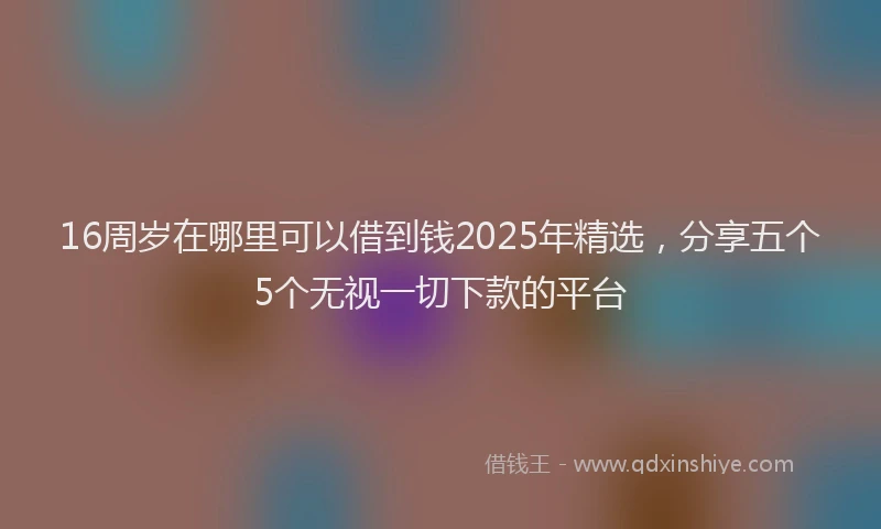 16周岁在哪里可以借到钱2025年精选，分享五个5个无视一切下款的平台