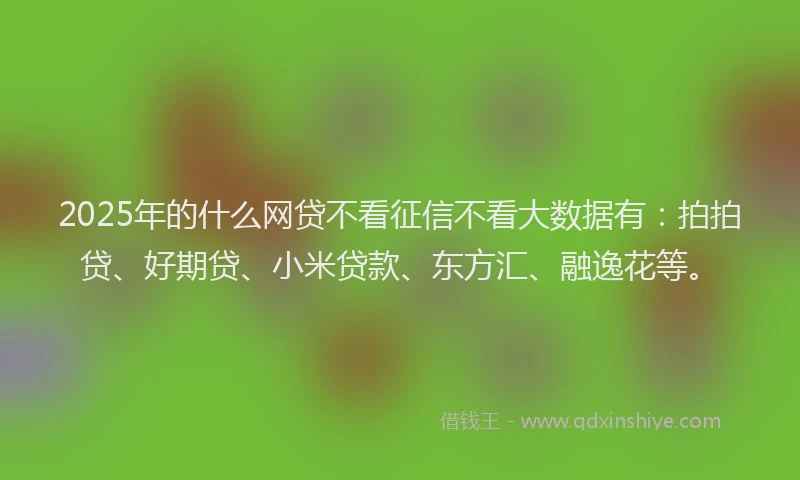 2025年的什么网贷不看征信不看大数据有：拍拍贷、好期贷、小米贷款、东方汇、融逸花等。