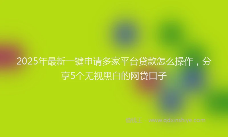 2025年最新一键申请多家平台贷款怎么操作，分享5个无视黑白的网贷口子