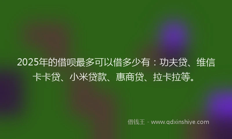 2025年的借呗最多可以借多少有：功夫贷、维信卡卡贷、小米贷款、惠商贷、拉卡拉等。