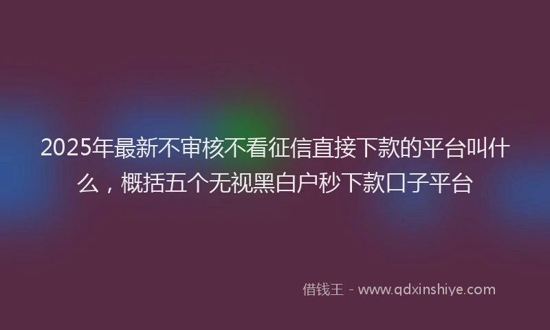 2025年最新不审核不看征信直接下款的平台叫什么，概括五个无视黑白户秒下款口子平台