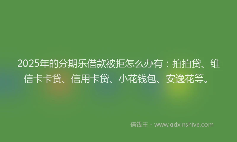 2025年的分期乐借款被拒怎么办有：拍拍贷、维信卡卡贷、信用卡贷、小花钱包、安逸花等。