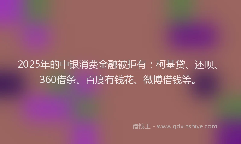 2025年的中银消费金融被拒有：柯基贷、还呗、360借条、百度有钱花、微博借钱等。