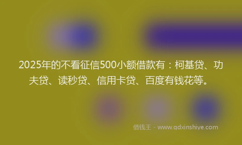 2025年的不看征信500小额借款有：柯基贷、功夫贷、读秒贷、信用卡贷、百度有钱花等。