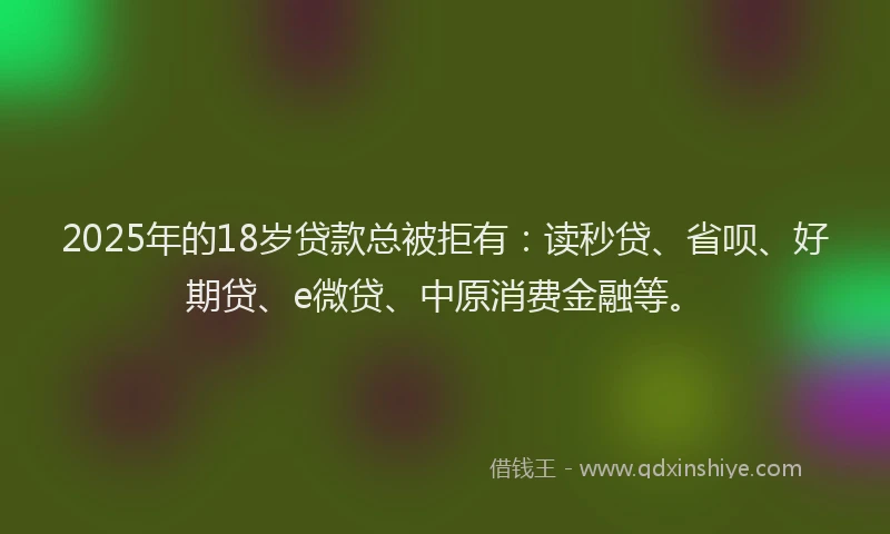 2025年的18岁贷款总被拒有：读秒贷、省呗、好期贷、e微贷、中原消费金融等。