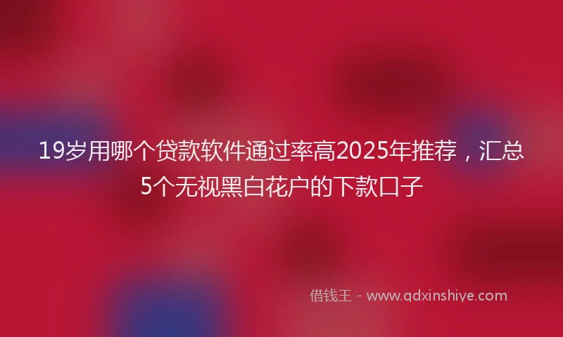 19岁用哪个贷款软件通过率高2025年推荐，汇总5个无视黑白花户的下款口子