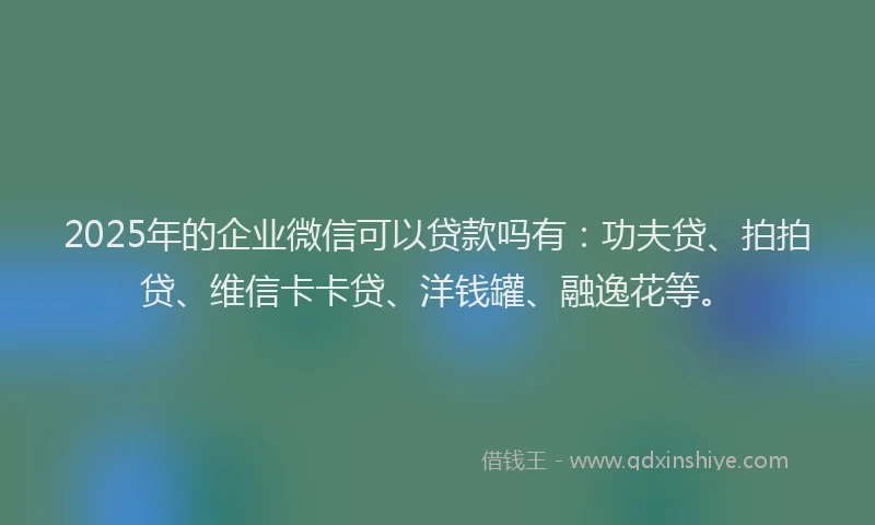 2025年的企业微信可以贷款吗有：功夫贷、拍拍贷、维信卡卡贷、洋钱罐、融逸花等。