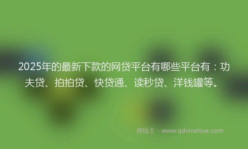 2025年的最新下款的网贷平台有哪些平台有：功夫贷、拍拍贷、快贷通、读秒贷、洋钱罐等。