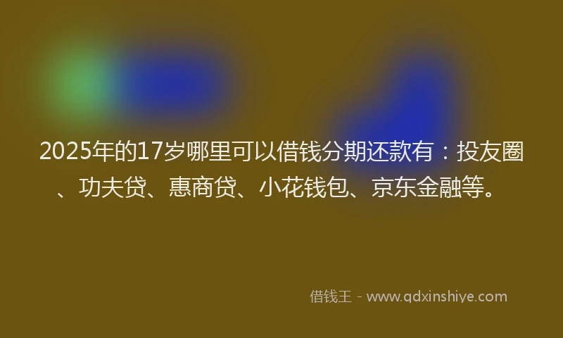 2025年的17岁哪里可以借钱分期还款有：投友圈、功夫贷、惠商贷、小花钱包、京东金融等。