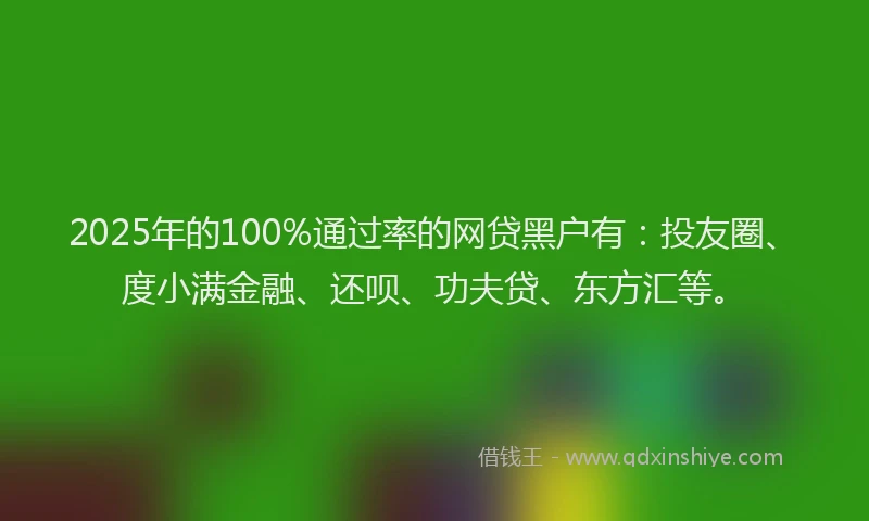 2025年的100%通过率的网贷黑户有：投友圈、度小满金融、还呗、功夫贷、东方汇等。