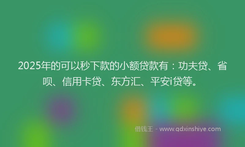 2025年的可以秒下款的小额贷款有：功夫贷、省呗、信用卡贷、东方汇、平安i贷等。
