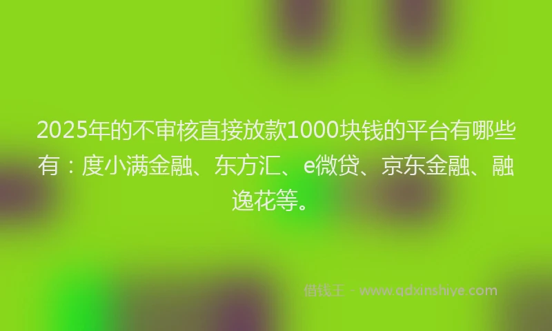 2025年的不审核直接放款1000块钱的平台有哪些有：度小满金融、东方汇、e微贷、京东金融、融逸花等。