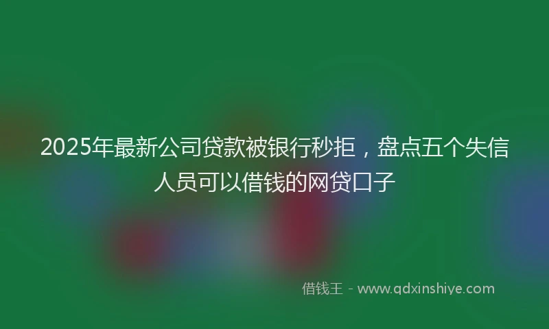 2025年最新公司贷款被银行秒拒，盘点五个失信人员可以借钱的网贷口子