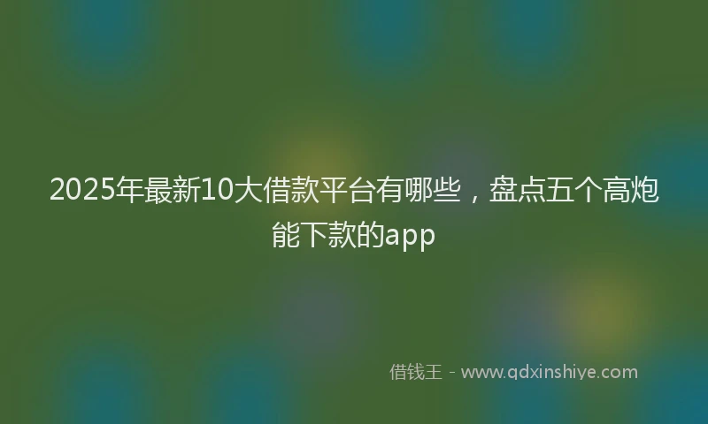 2025年最新10大借款平台有哪些，盘点五个高炮能下款的app