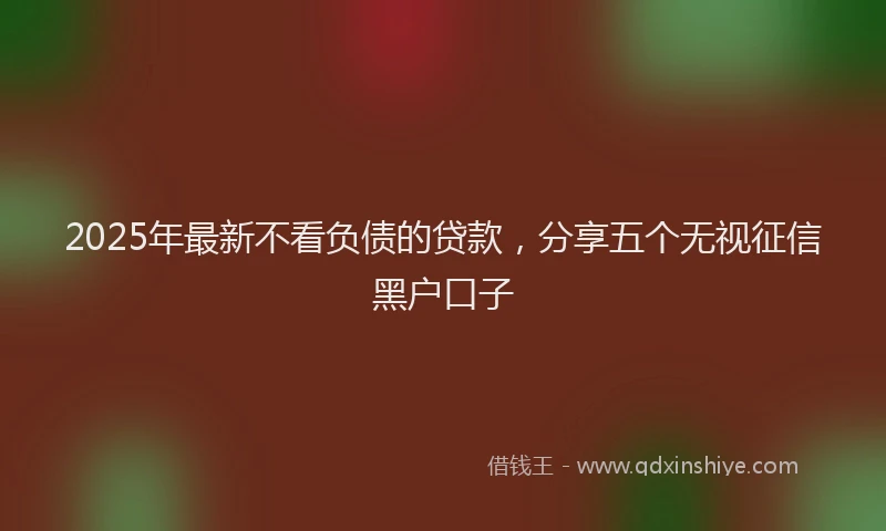 2025年最新不看负债的贷款，分享五个无视征信黑户口子