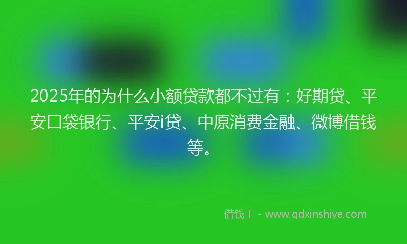 2025年的为什么小额贷款都不过有：好期贷、平安口袋银行、平安i贷、中原消费金融、微博借钱等。