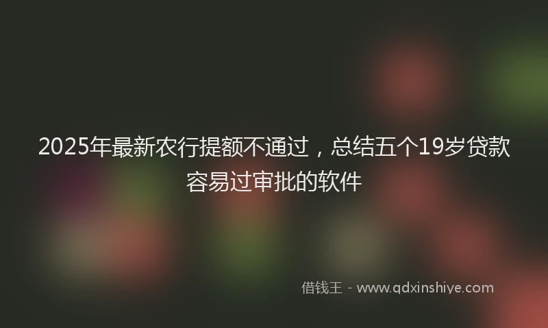2025年最新农行提额不通过，总结五个19岁贷款容易过审批的软件