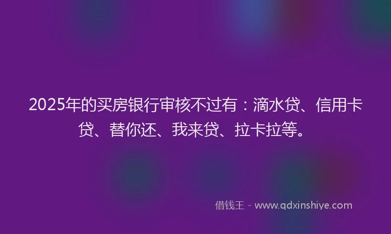 2025年的买房银行审核不过有：滴水贷、信用卡贷、替你还、我来贷、拉卡拉等。