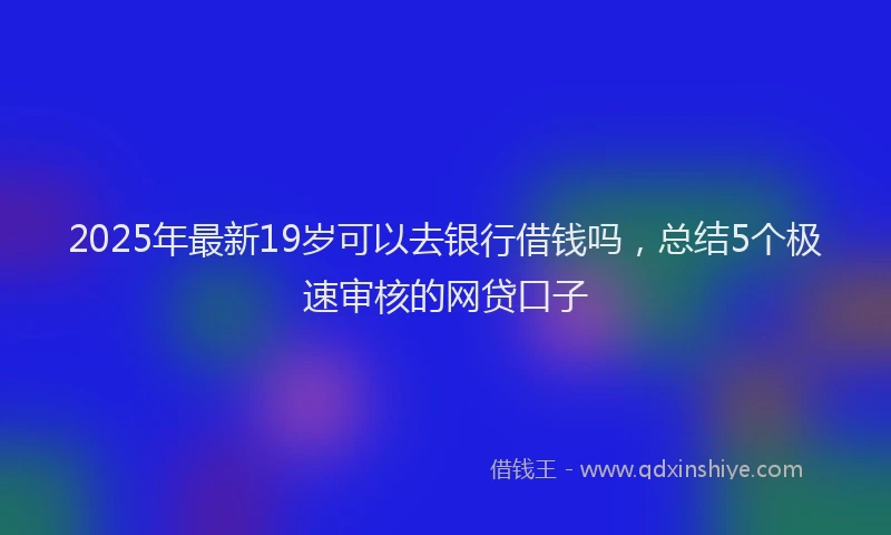 2025年最新19岁可以去银行借钱吗，总结5个极速审核的网贷口子
