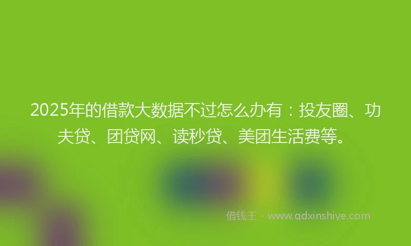 2025年的借款大数据不过怎么办有：投友圈、功夫贷、团贷网、读秒贷、美团生活费等。