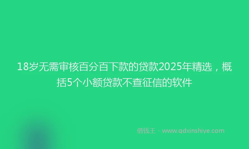 18岁无需审核百分百下款的贷款2025年精选，概括5个小额贷款不查征信的软件