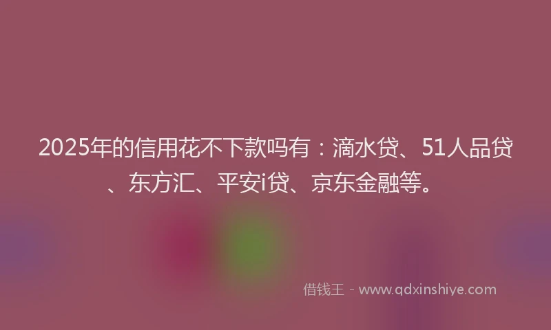 2025年的信用花不下款吗有：滴水贷、51人品贷、东方汇、平安i贷、京东金融等。