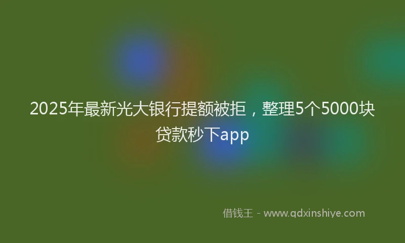 2025年最新光大银行提额被拒，整理5个5000块贷款秒下app