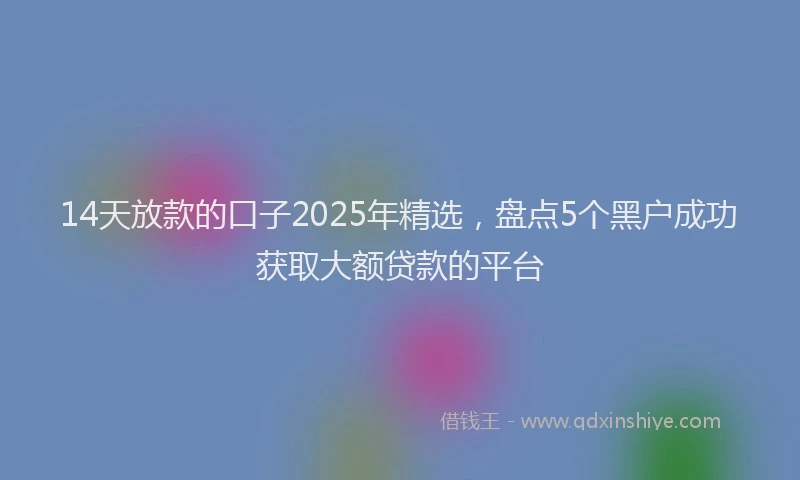 14天放款的口子2025年精选，盘点5个黑户成功获取大额贷款的平台