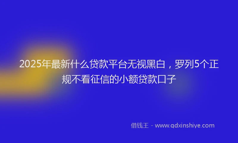 2025年最新什么贷款平台无视黑白，罗列5个正规不看征信的小额贷款口子