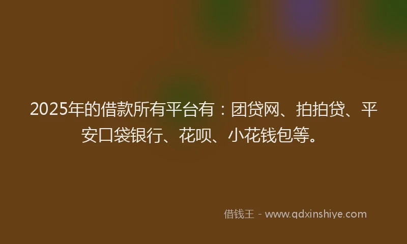 2025年的借款所有平台有：团贷网、拍拍贷、平安口袋银行、花呗、小花钱包等。