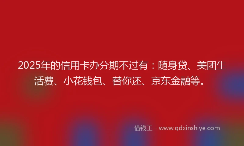 2025年的信用卡办分期不过有：随身贷、美团生活费、小花钱包、替你还、京东金融等。