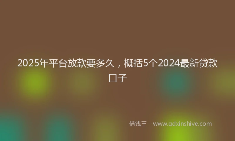 2025年平台放款要多久，概括5个2024最新贷款口子