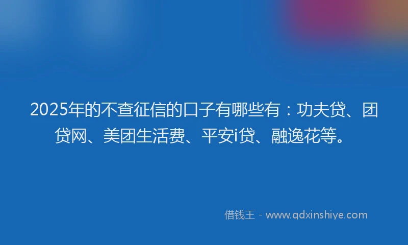 2025年的不查征信的口子有哪些有：功夫贷、团贷网、美团生活费、平安i贷、融逸花等。
